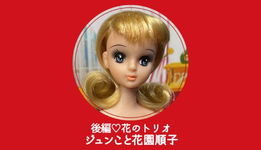 akaribbon | リカちゃん専用美容室